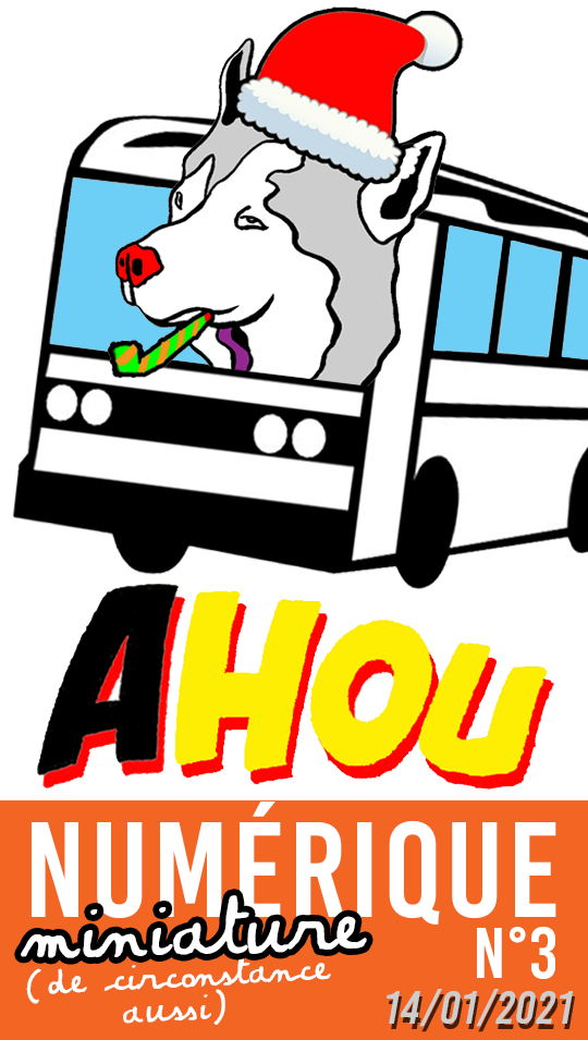 Logo AHOU NUMÉRIQUEMINIATURE n3.5